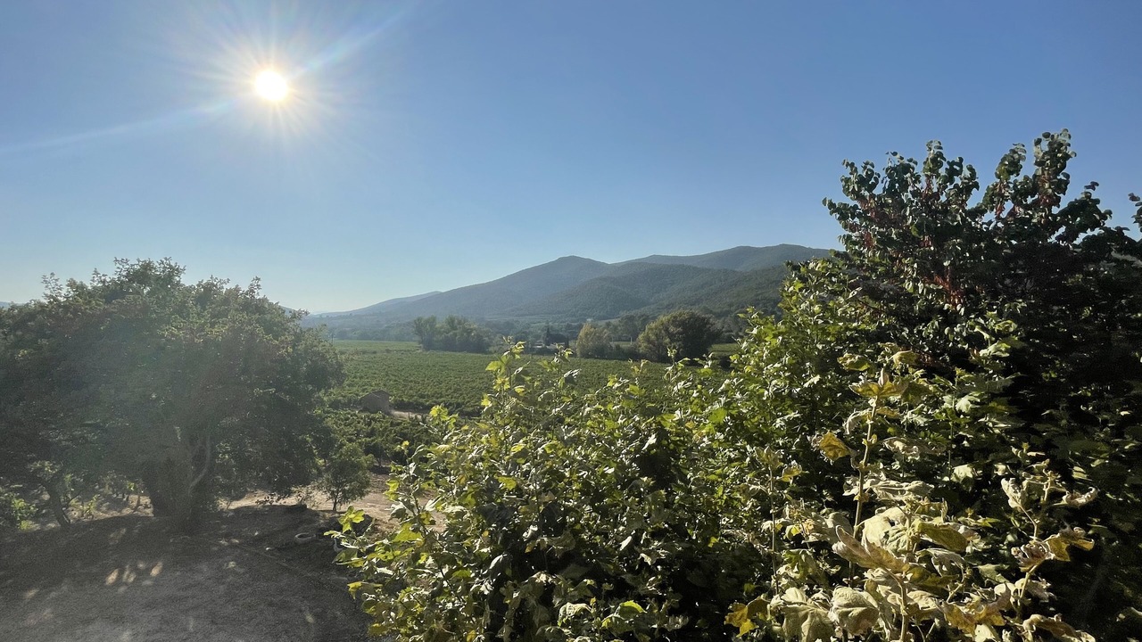 Photo of Outdoor in Collobrieres
