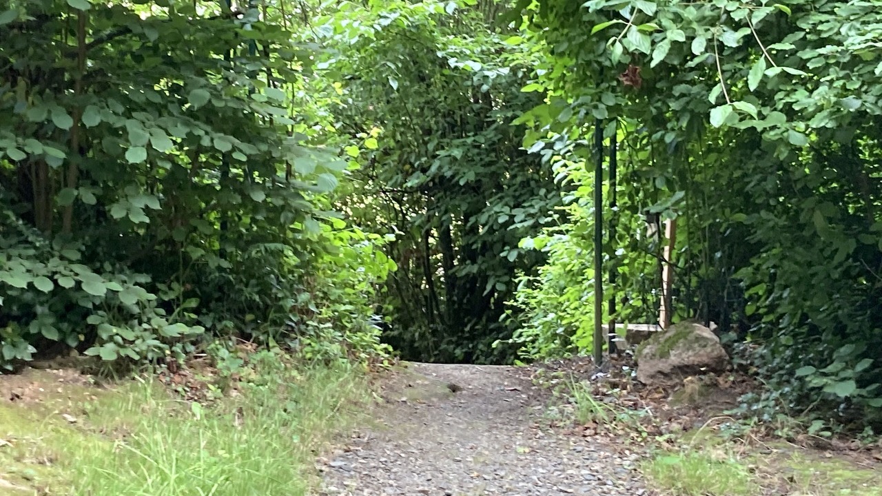 Photo of Outdoor in Saint-Donan