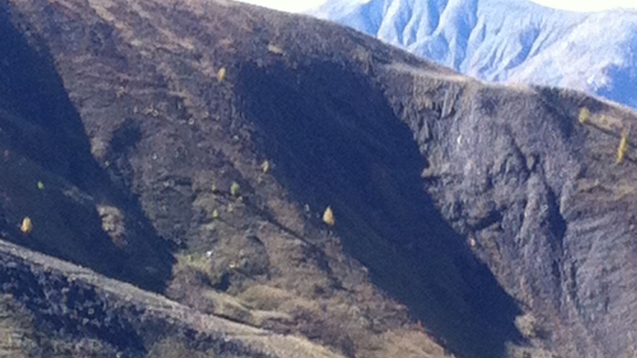 Photo of Others in Allos