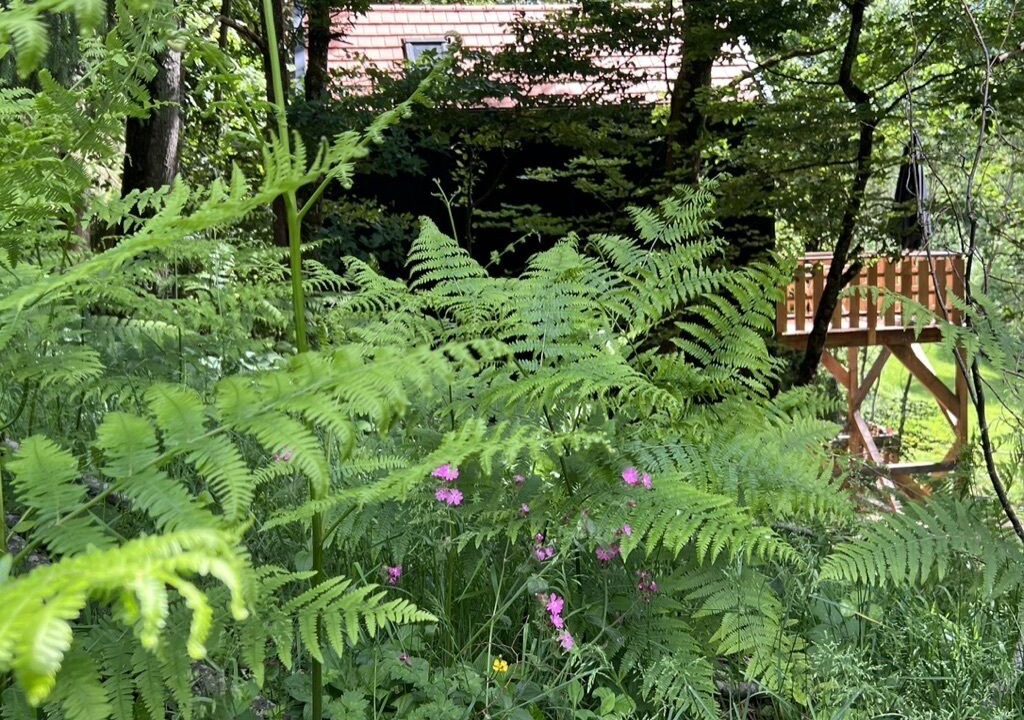 Photo of Outdoor in Saint-Quirin