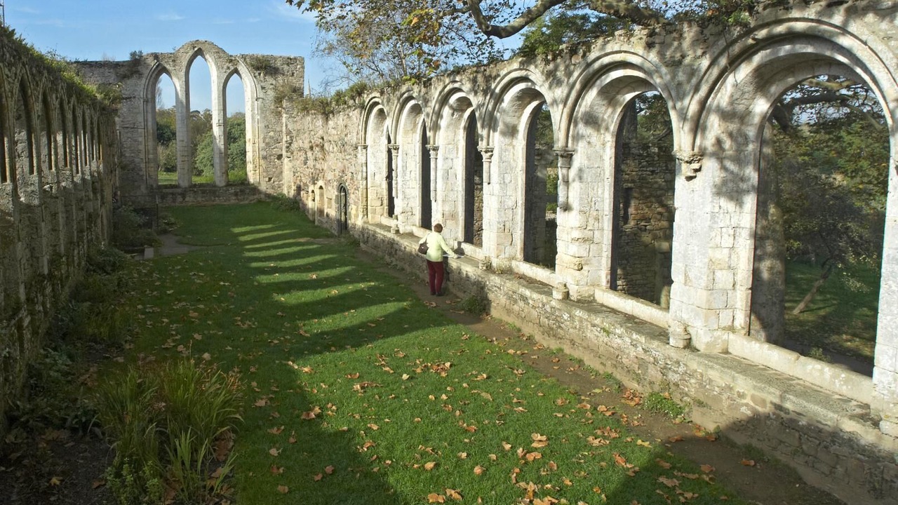 Photo of Others in Yvias