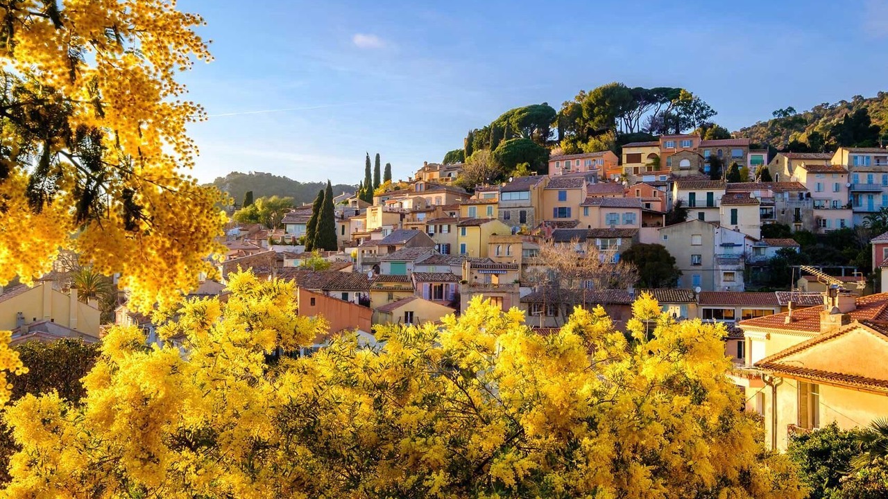 Photo of Others in Bormes-Les-Mimosas