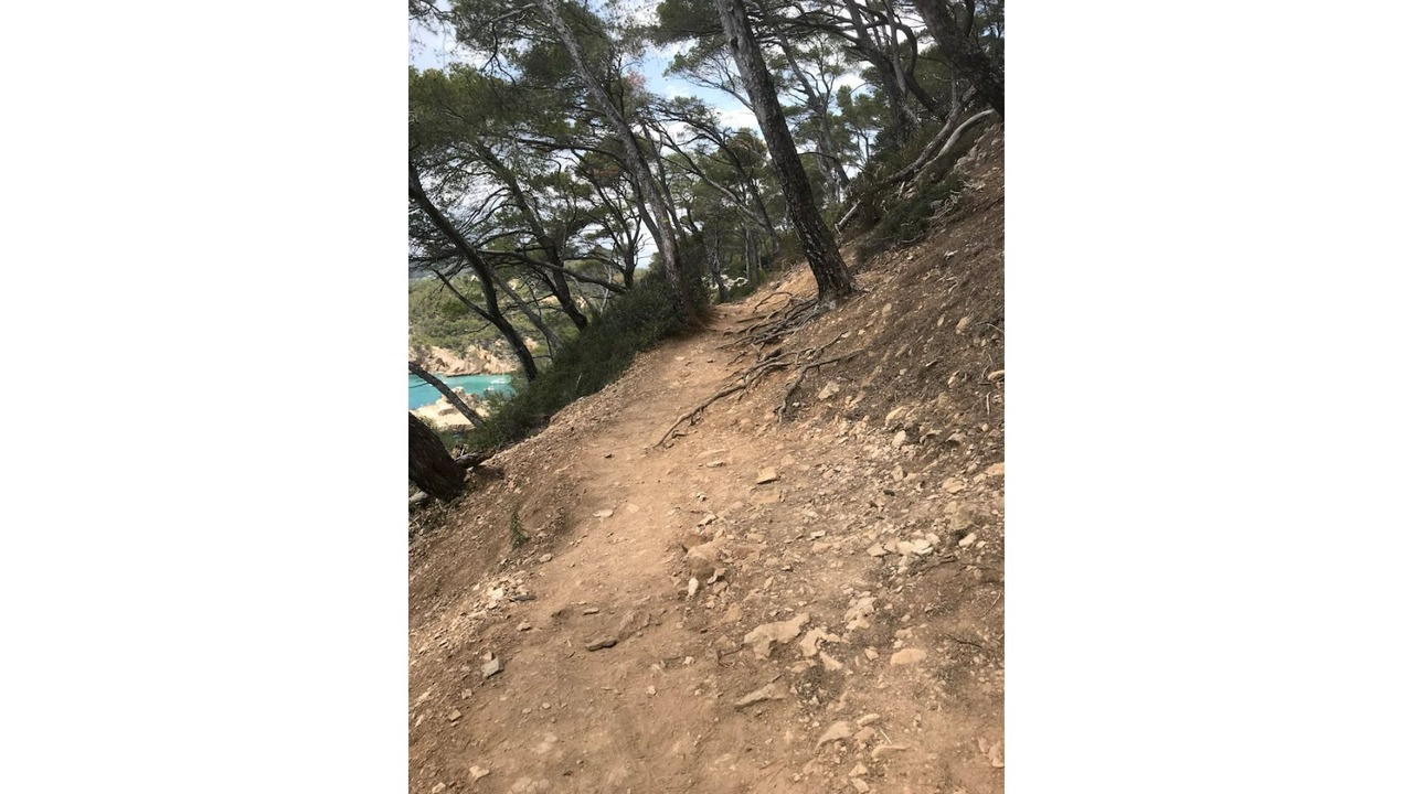 Photo of Others in Bandol