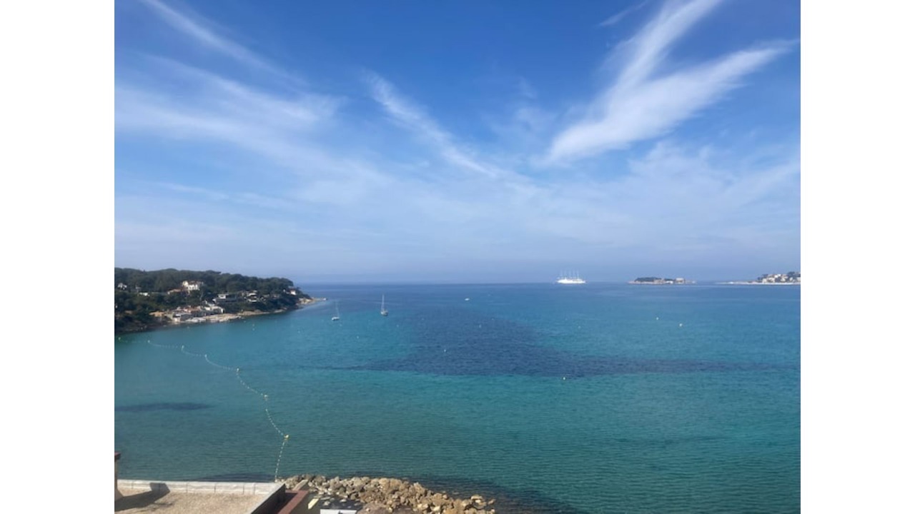 Photo of Others in Bandol