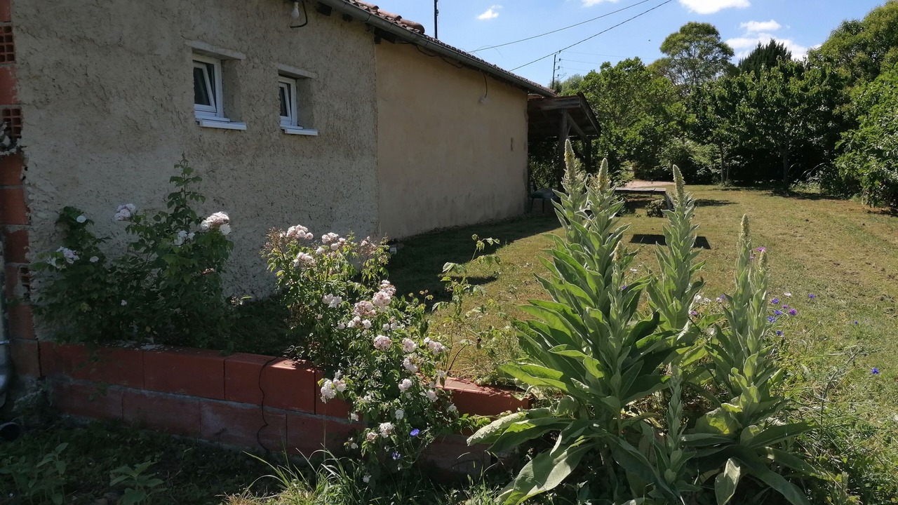 Photo of Outdoor in Masseube