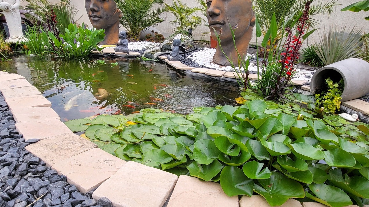 Photo of Outdoor in Saudoy