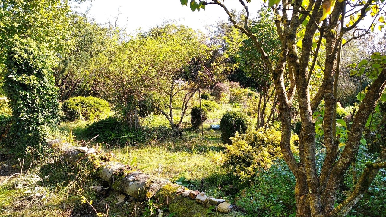 Photo of Outdoor in Nossoncourt