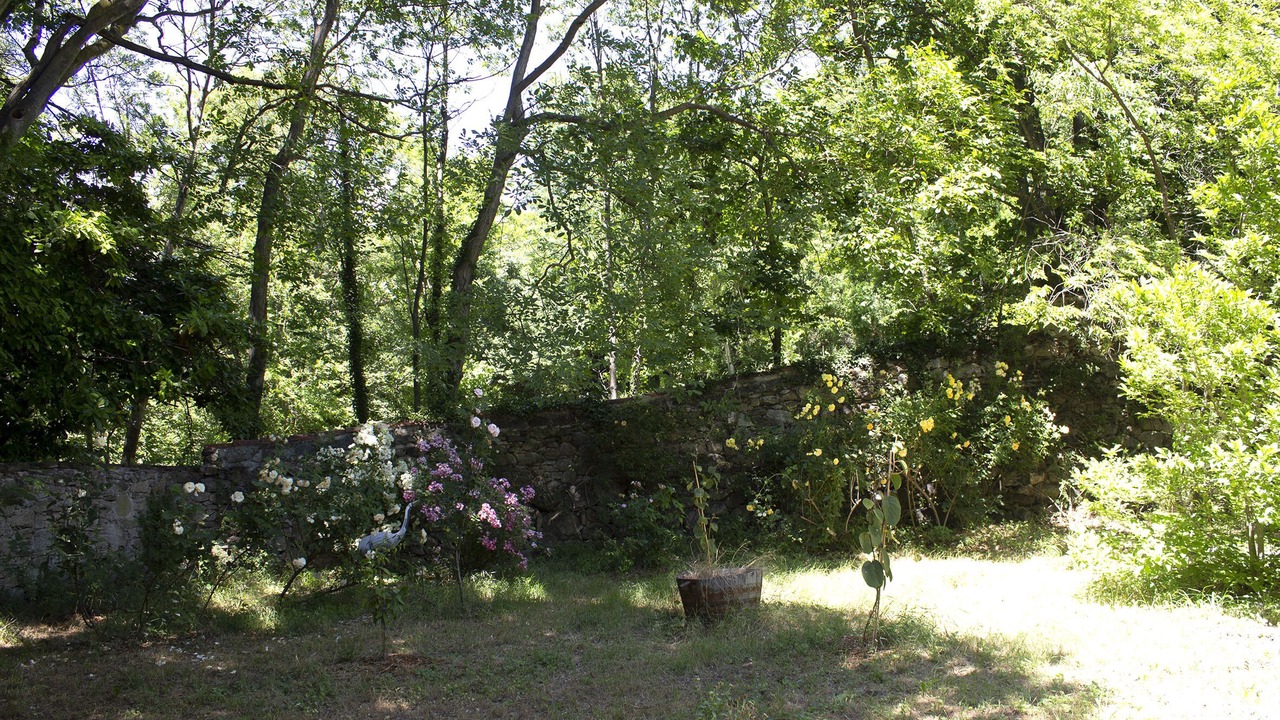 Photo of Outdoor in Mosset