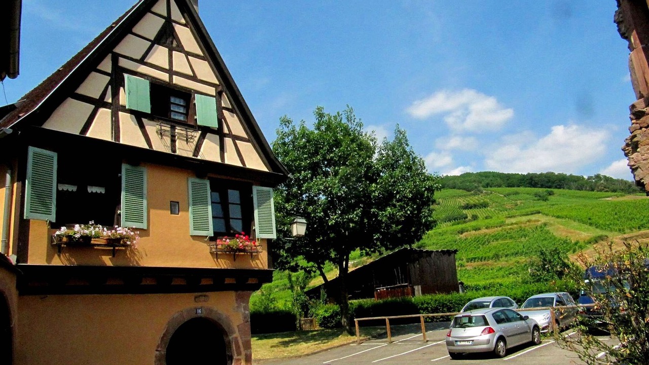 Photo of Outdoor in Ammerschwihr