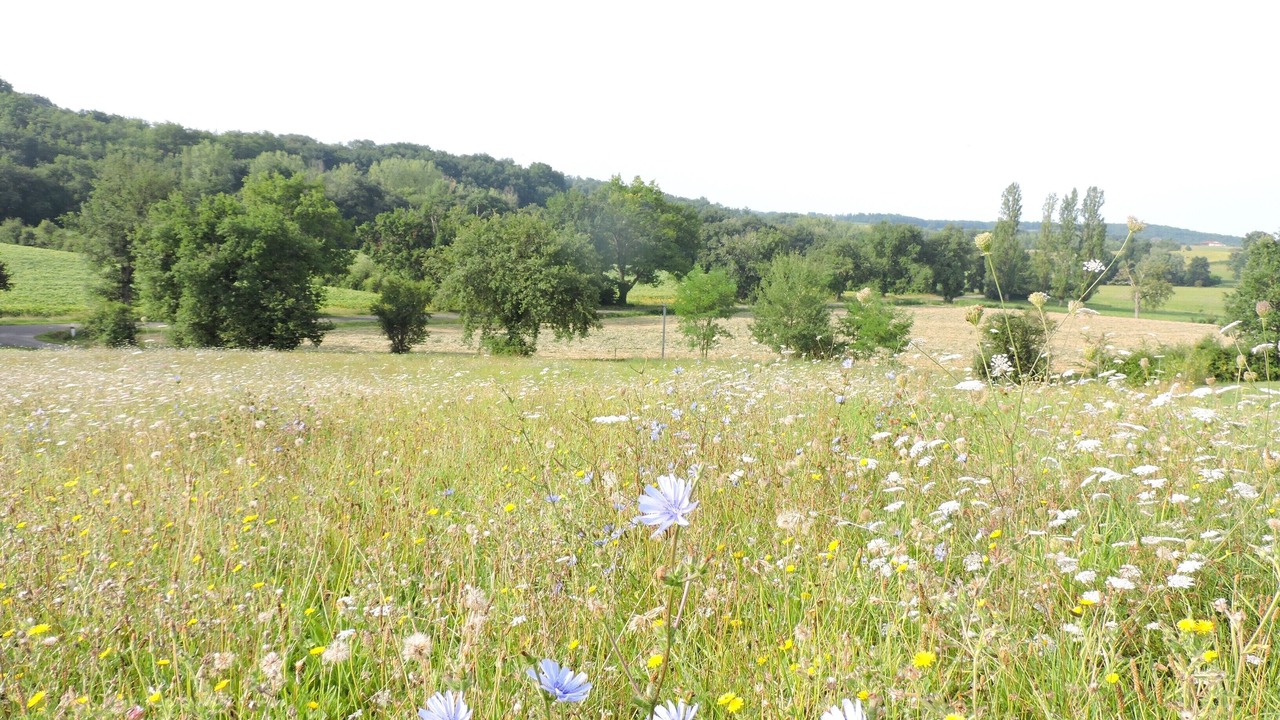 Photo of Outdoor in Peyrusse-Grande