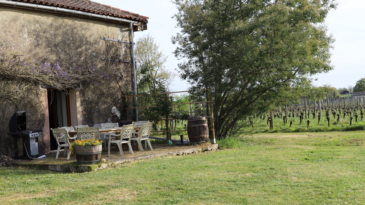 Photo of Outdoor in Madiran