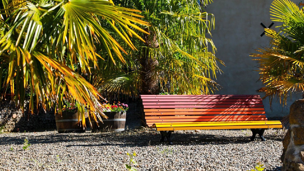 Photo of Outdoor in Madiran