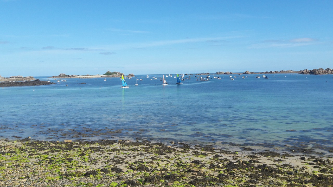Photo of Others in Trevou-Treguignec