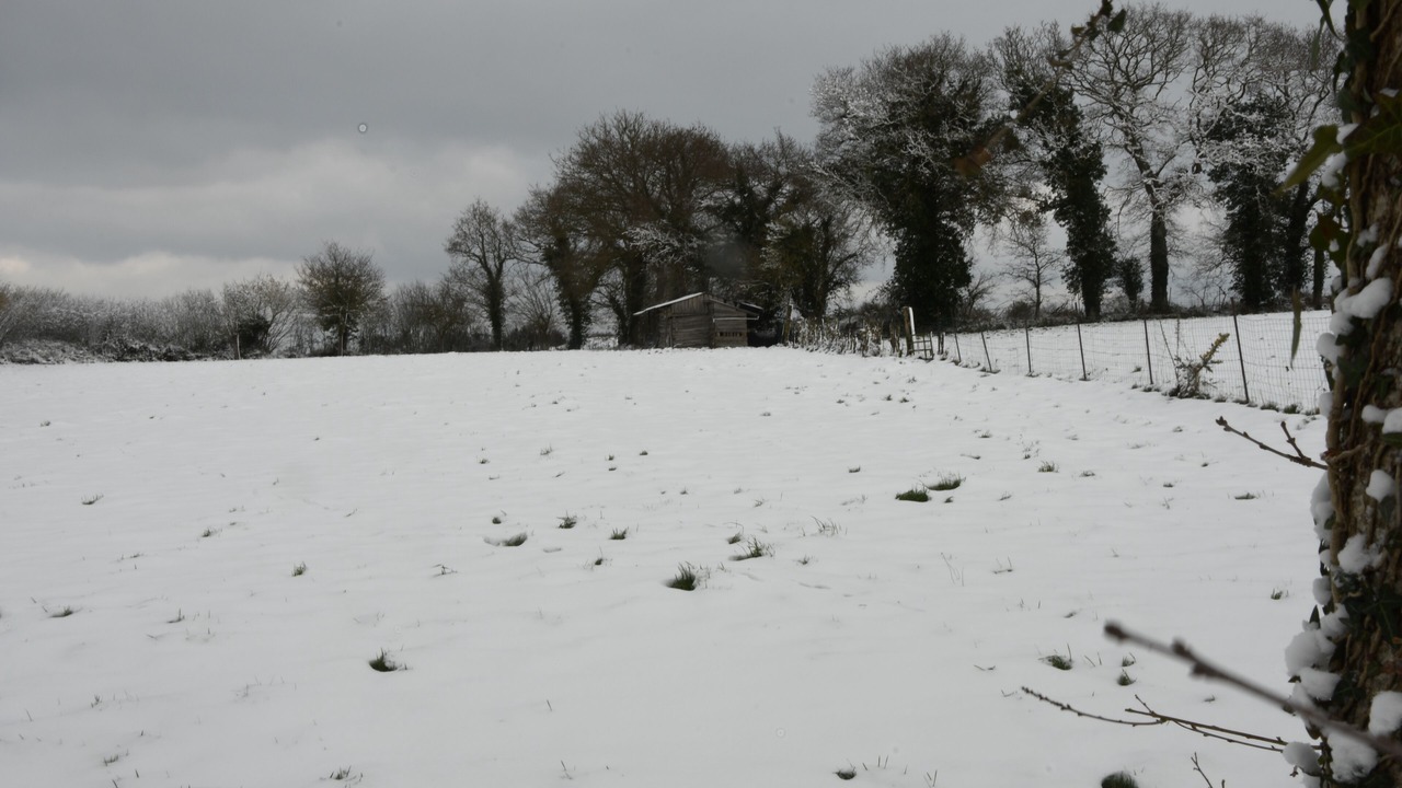 Photo of Outdoor in Saint-Clet