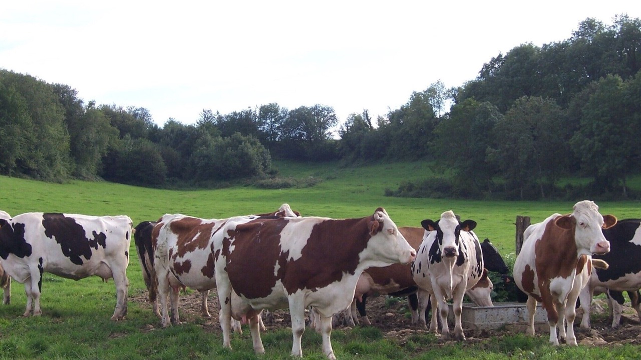 Photo of Outdoor in Orbigny-au-Val