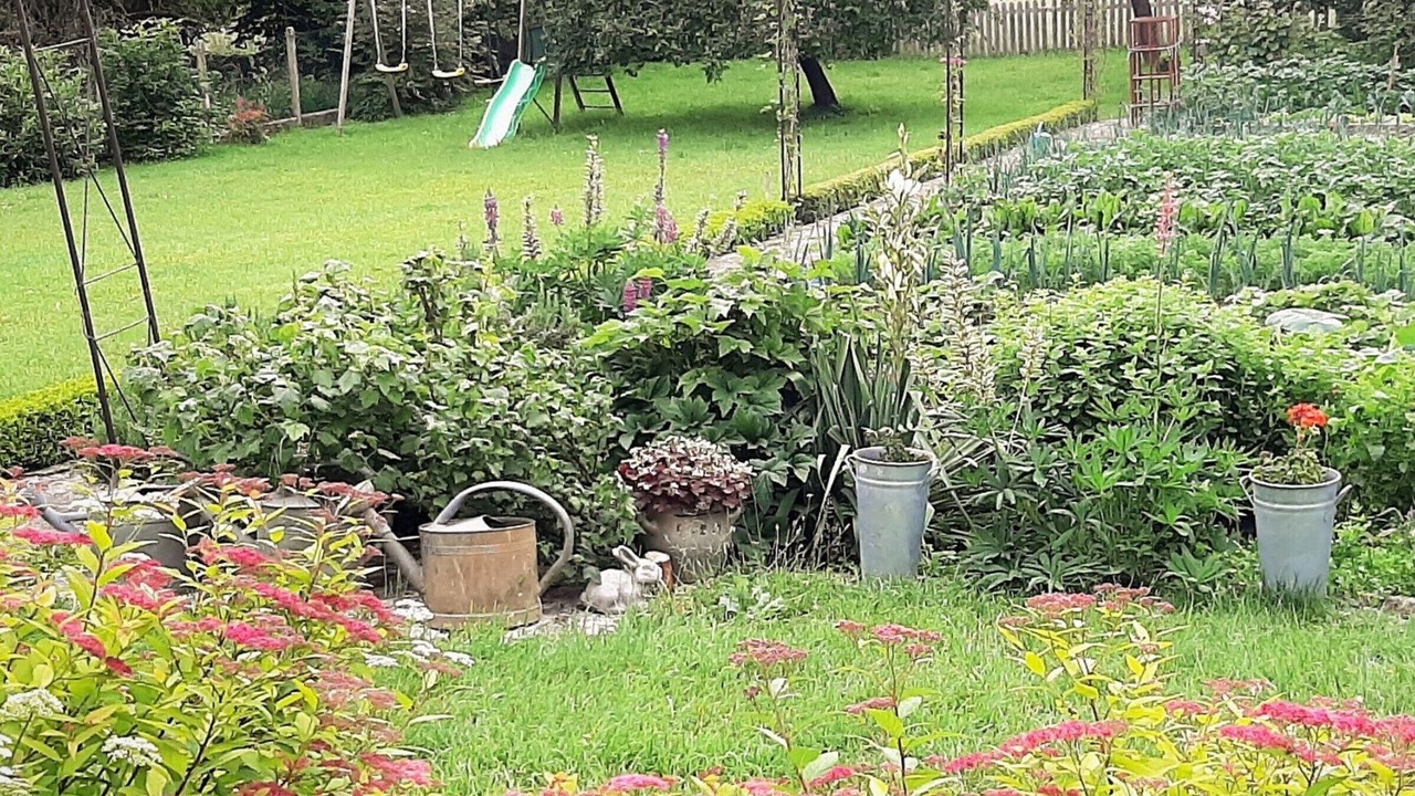 Photo of Outdoor in Saint-Blin