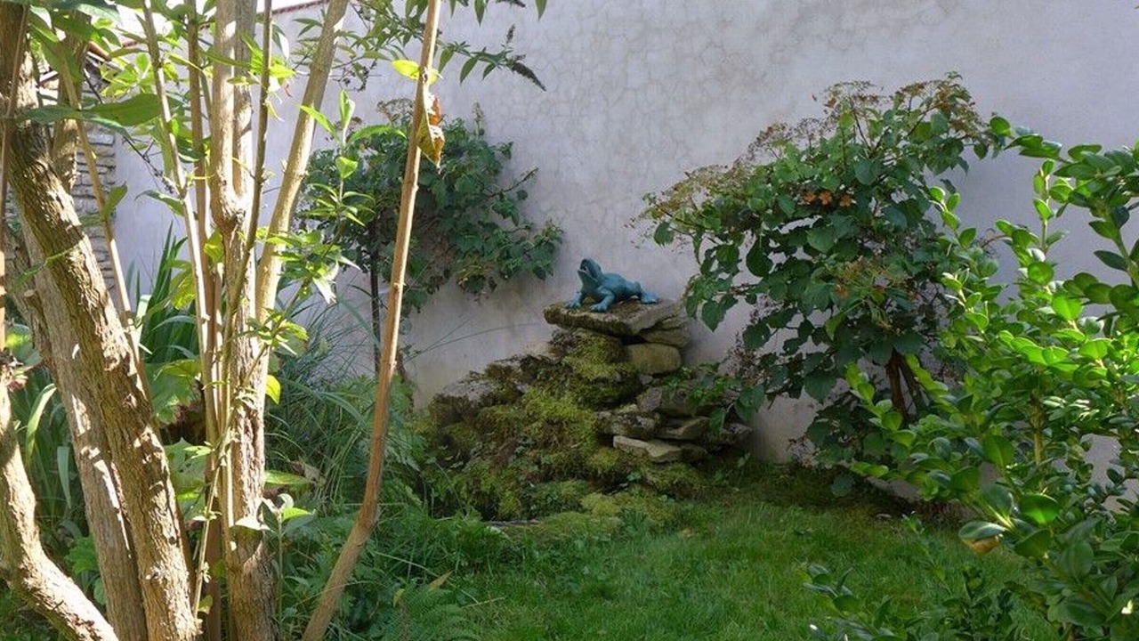 Photo of Outdoor in Chantraines