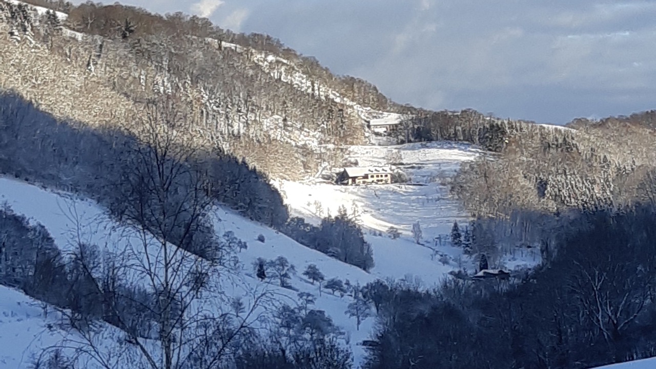 Photo of Others in Sainte-Marie-aux-Mines