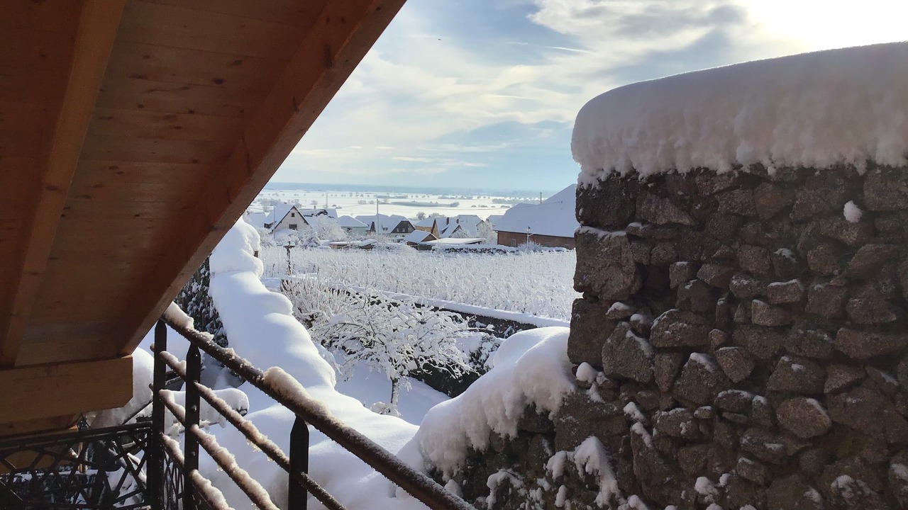 Photo of Outdoor in Dambach-la-Ville