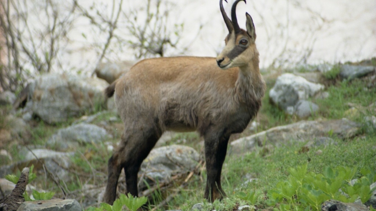 Photo of Outdoor in Monetier-les-Bains