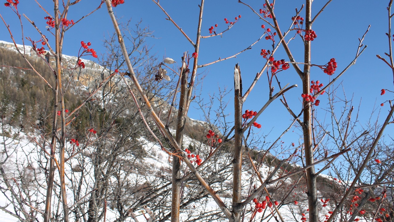 Photo of Outdoor in Monetier-les-Bains