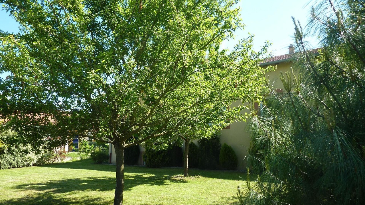 Photo of Outdoor in Damelevieres