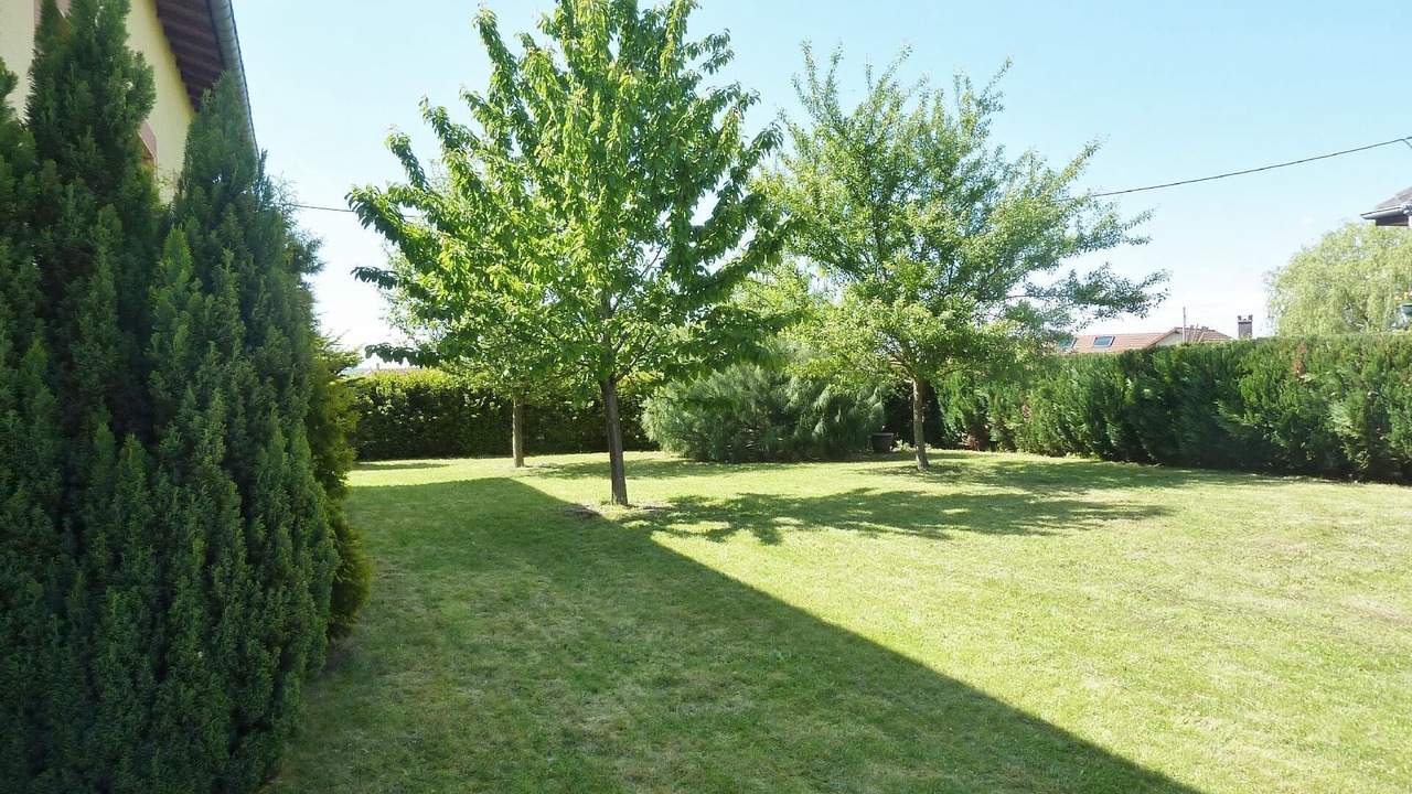 Photo of Outdoor in Damelevieres