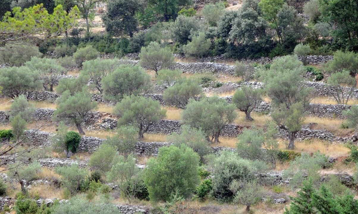 Photo of Outdoor in Evenos