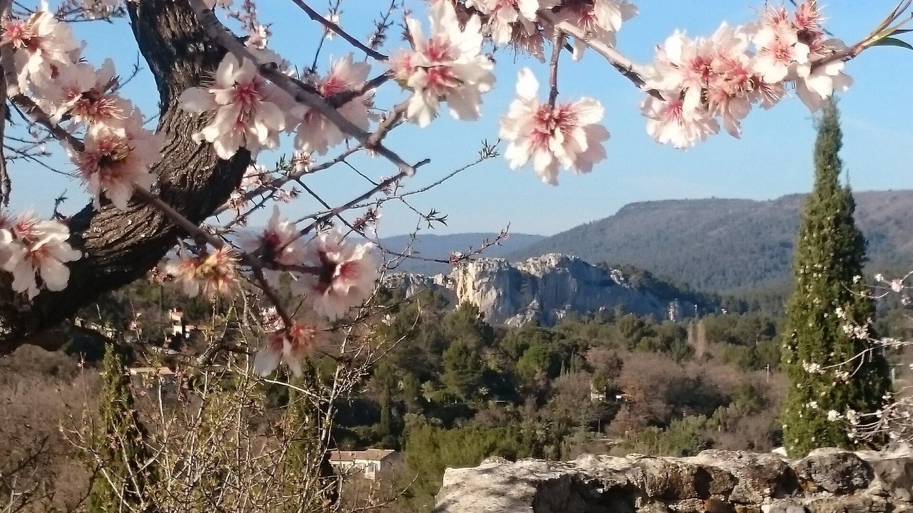 Photo of Outdoor in Evenos