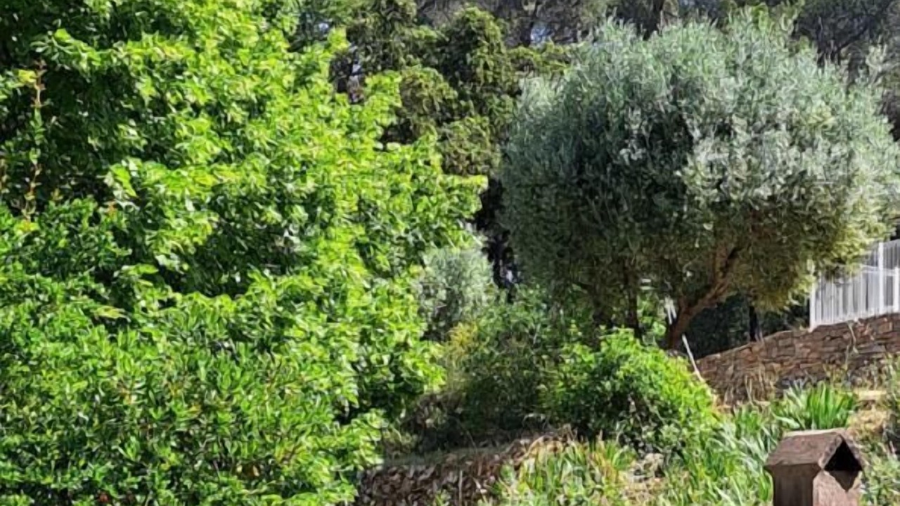 Photo of Others in Le Beausset
