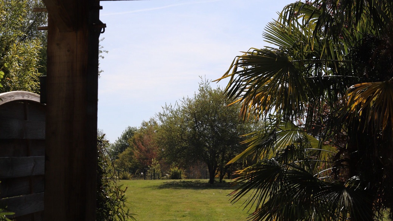 Photo of Outdoor in Madiran