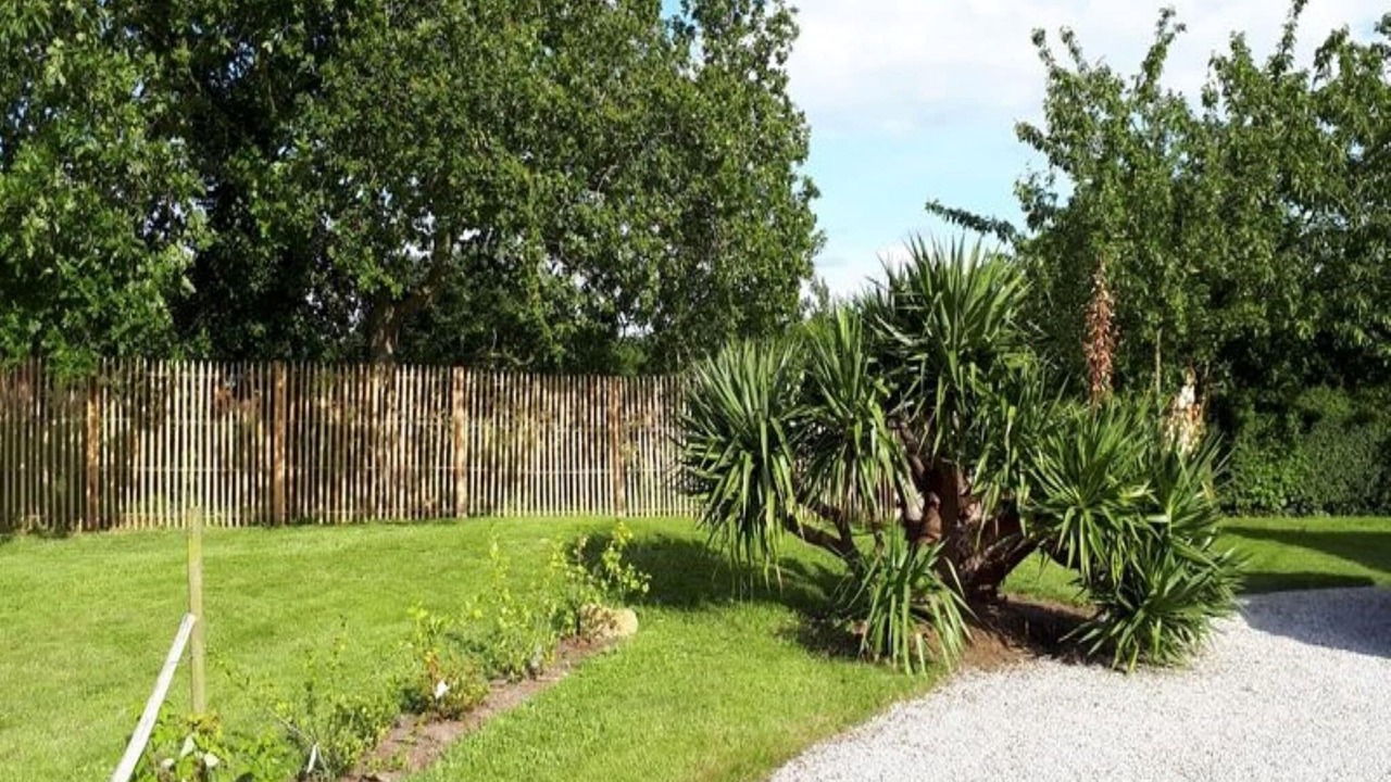 Photo of Outdoor in Henansal