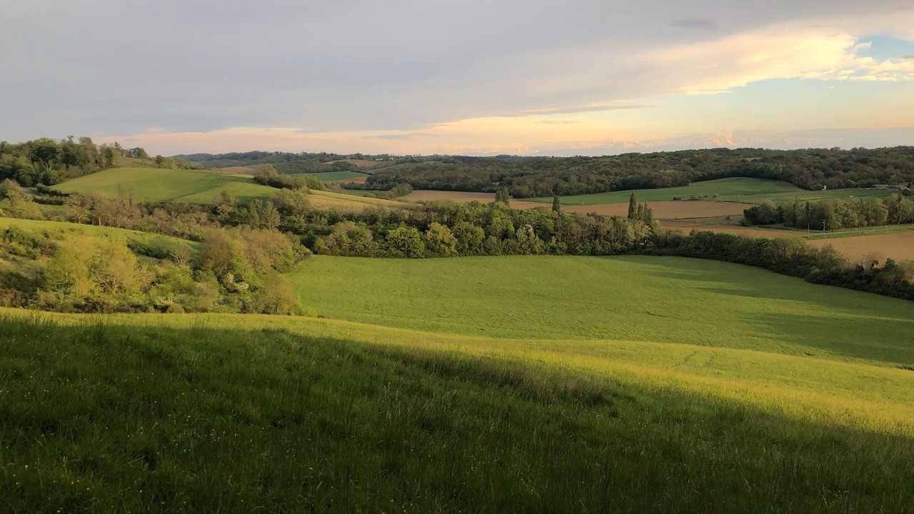 Photo of Others in Couloume-Mondebat