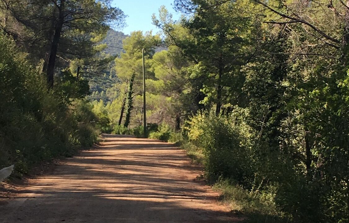 Photo of Others in Sollies-Toucas