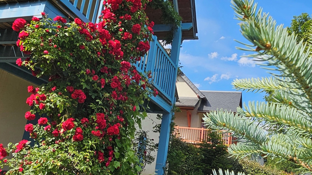 Photo of Outdoor in Vignec