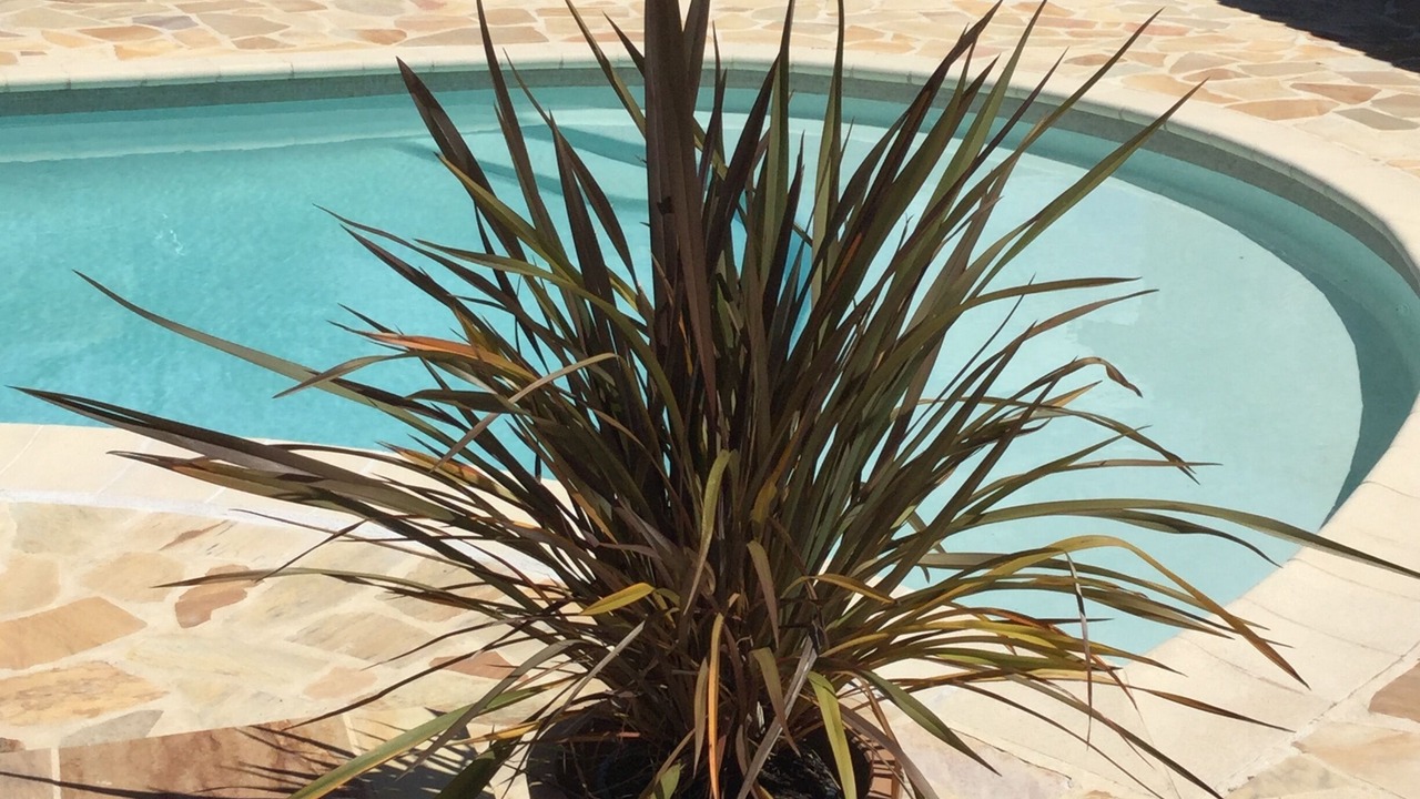 Photo of Outdoor in Regusse