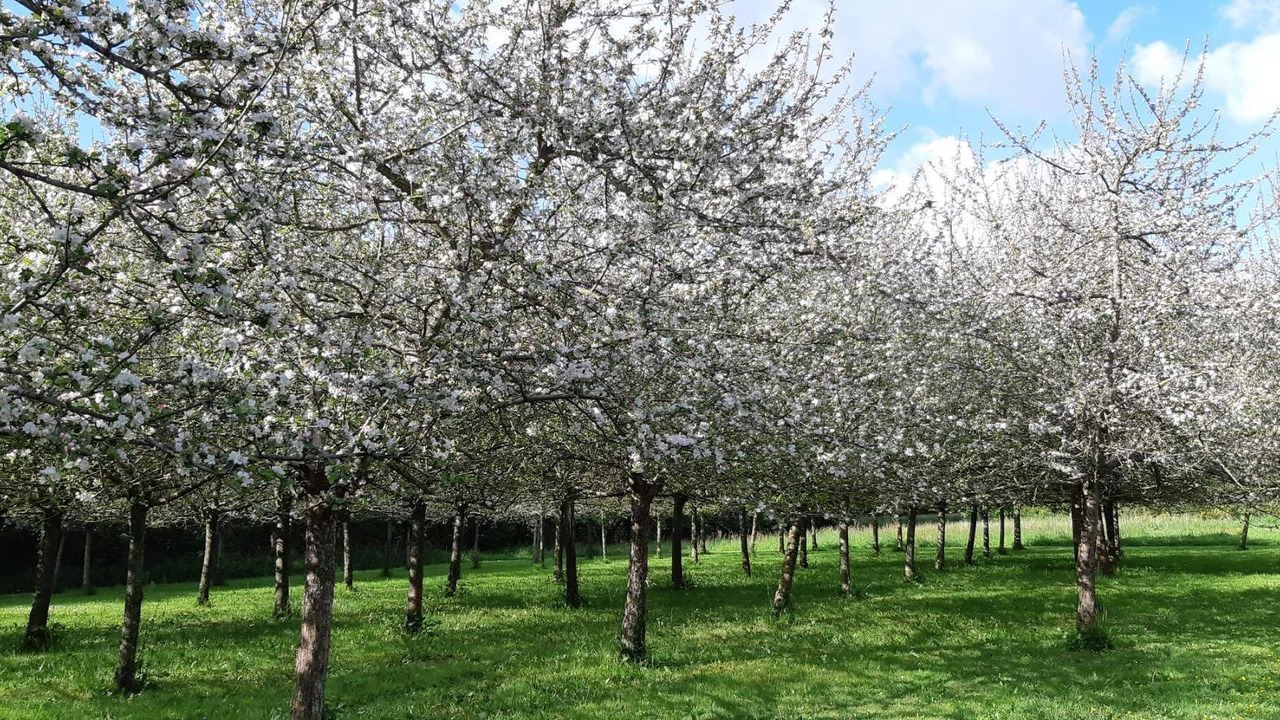 Photo of Outdoor in Begard
