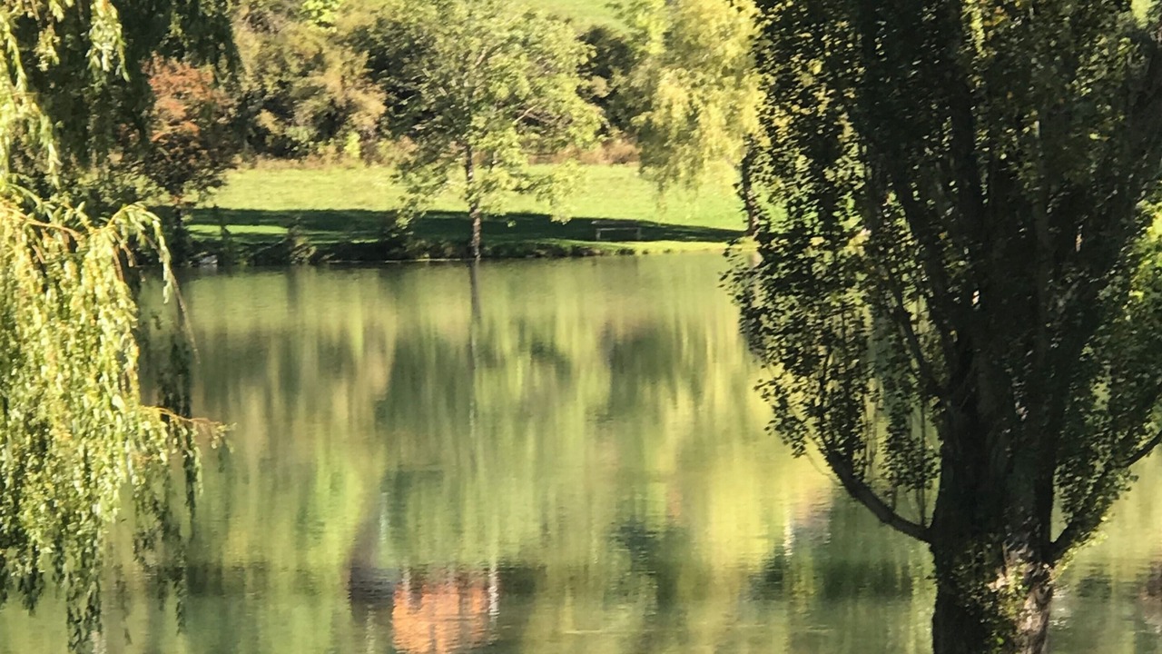 Photo of Others in Belcaire