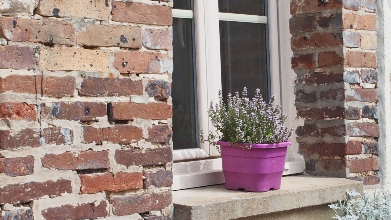 Photo of Outdoor in Evry