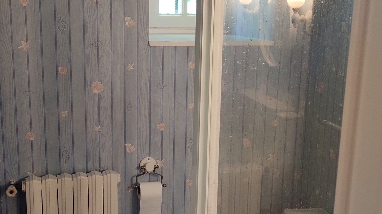 Photo of Bathroom in Plelo