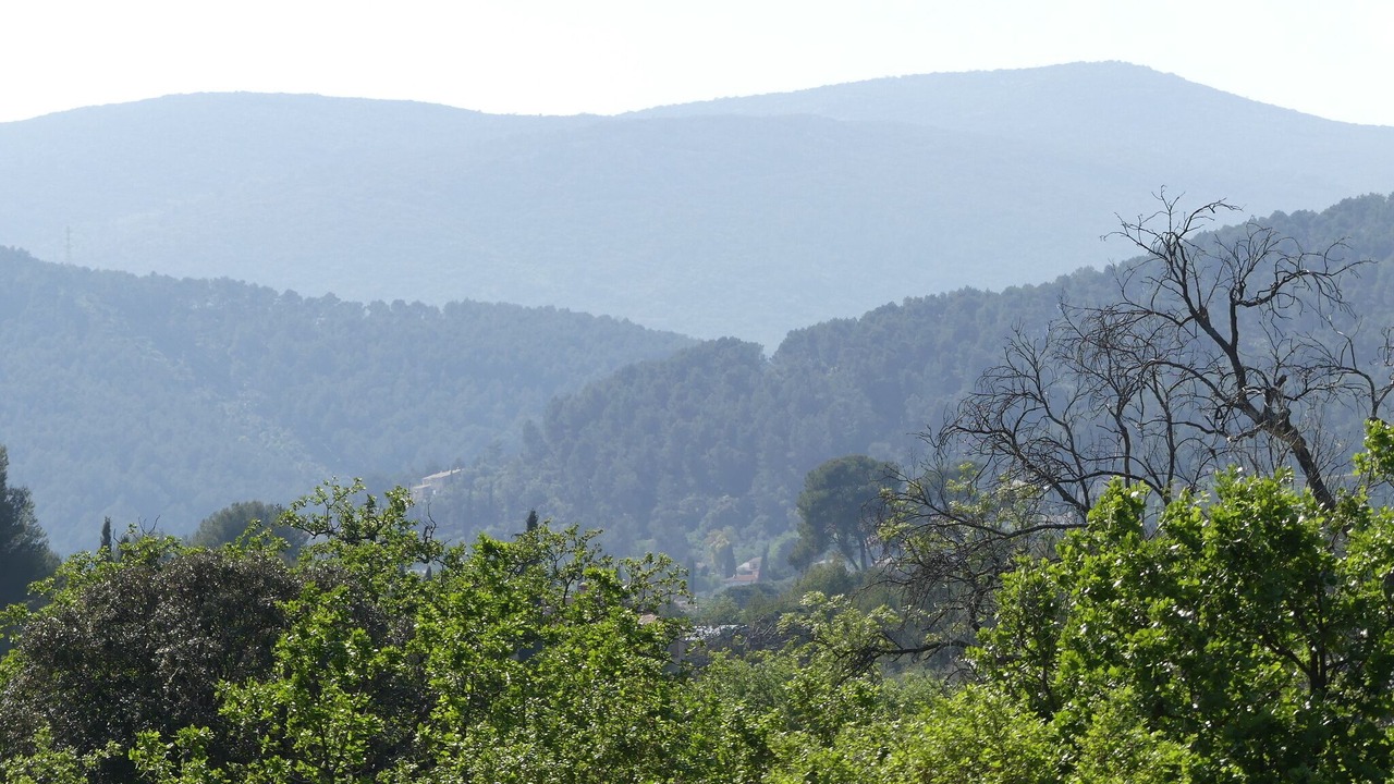 Photo of Others in Sollies Pont