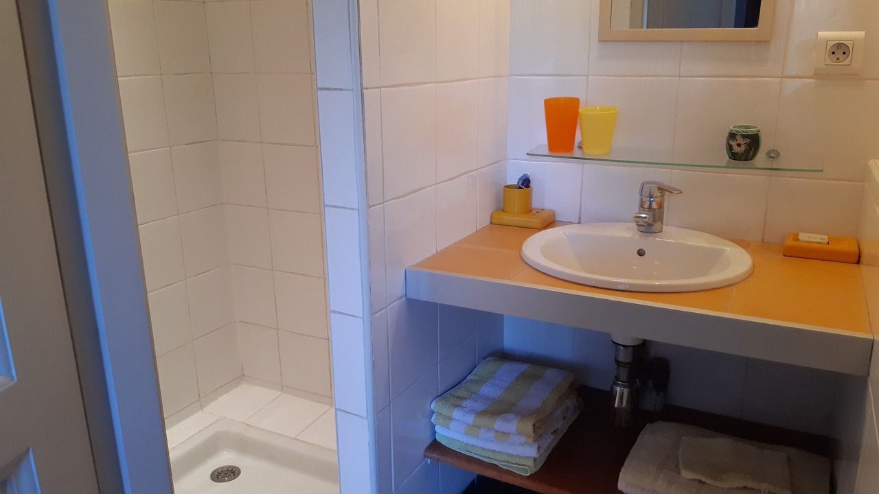 Photo of Bathroom in Sud
