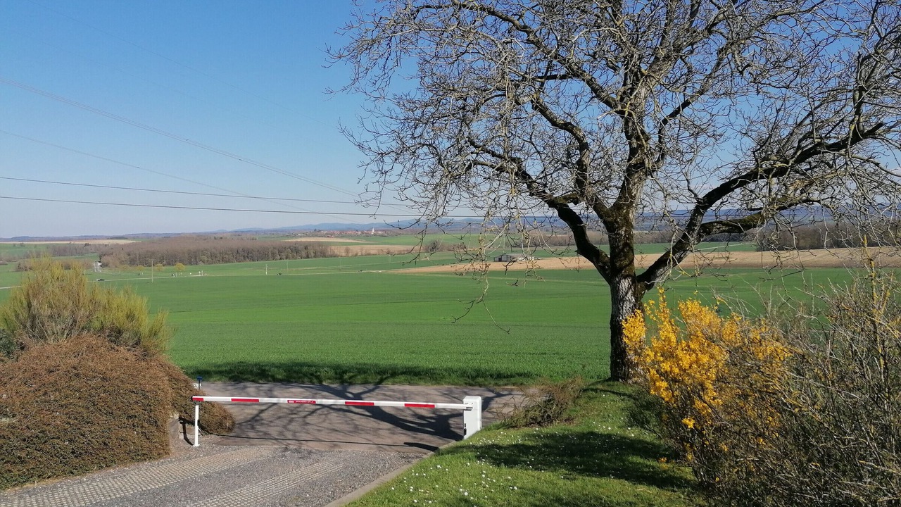 Photo of Outdoor in Barbas
