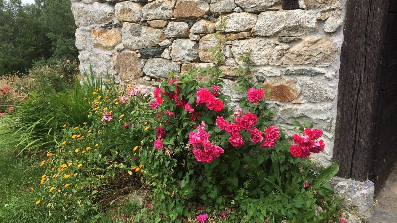 Photo of Outdoor in Aucun