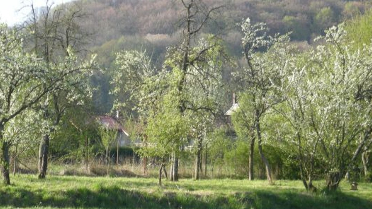 Photo of Others in Halles-sous-les-Cotes