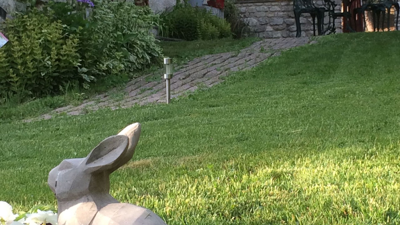 Photo of Outdoor in Vadelaincourt