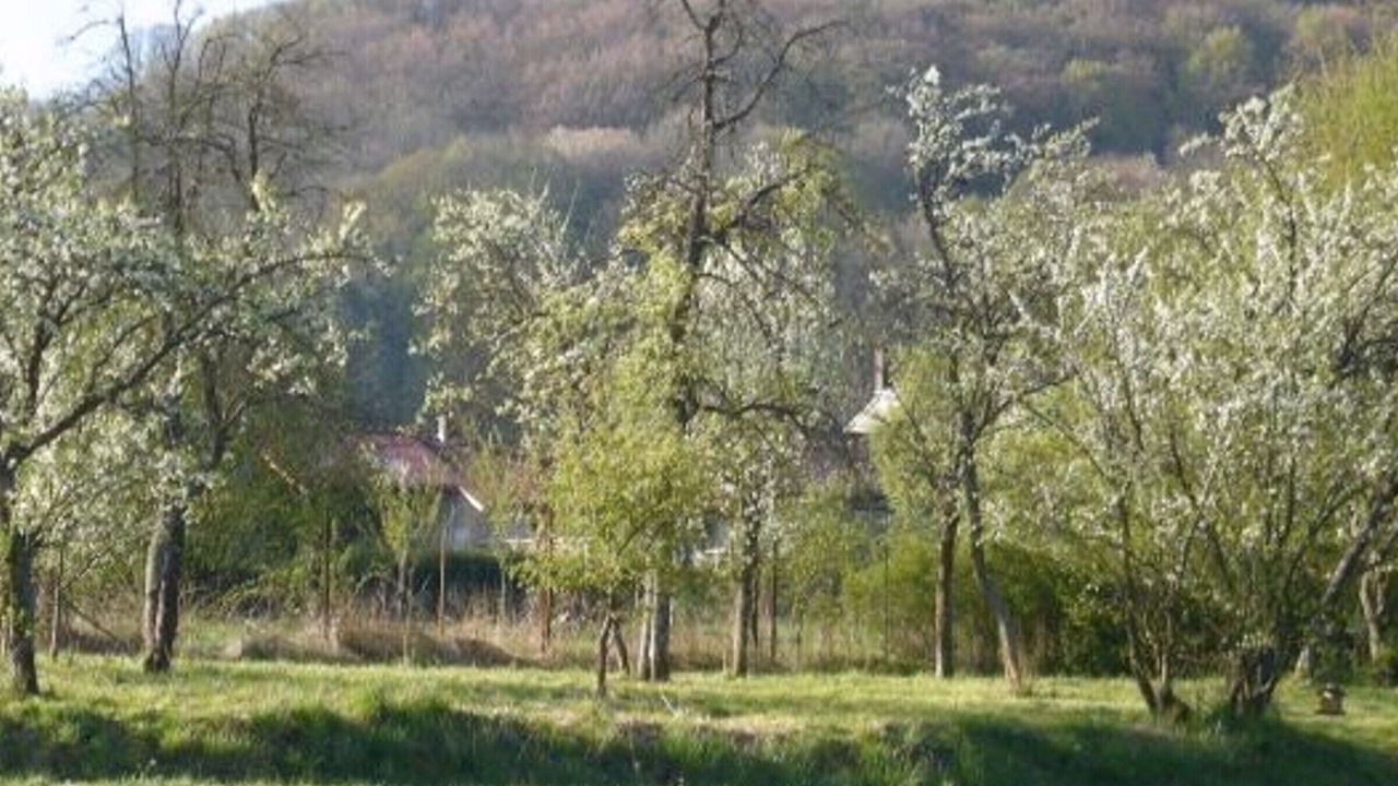 Photo of Others in Halles-sous-les-Cotes