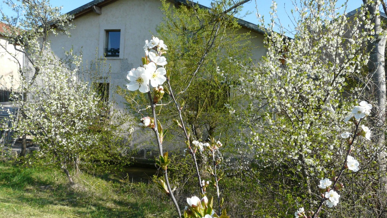 Photo of Outdoor in Bonzee