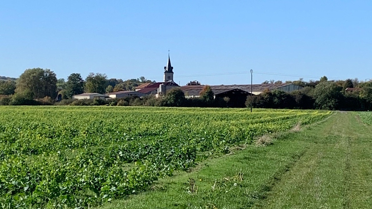 Photo of Others in Forges-sur-Meuse