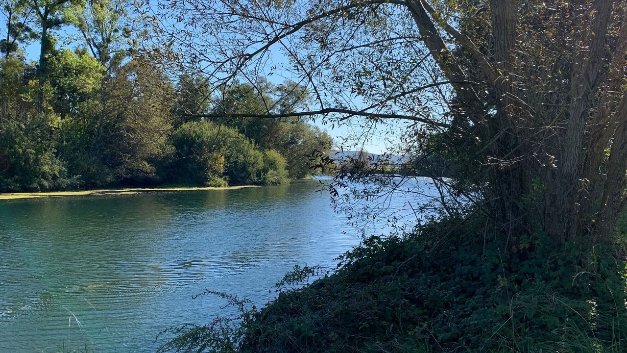 Photo of Others in Forges-sur-Meuse